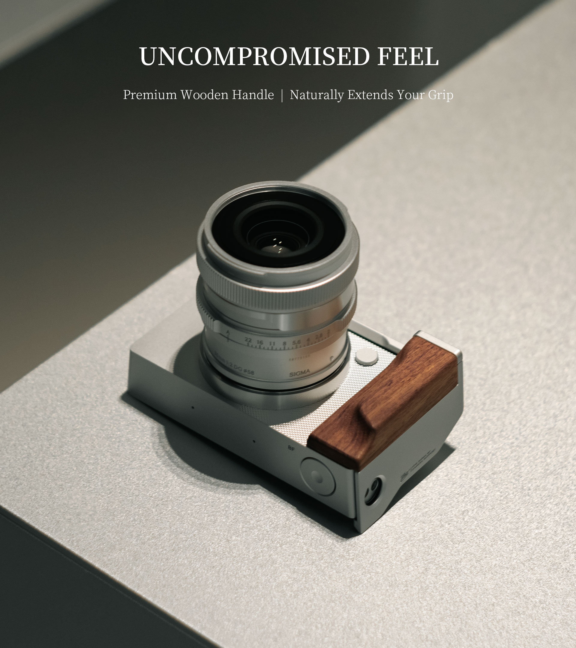 Vintage Camera Cage for Sigma BF Base Kit